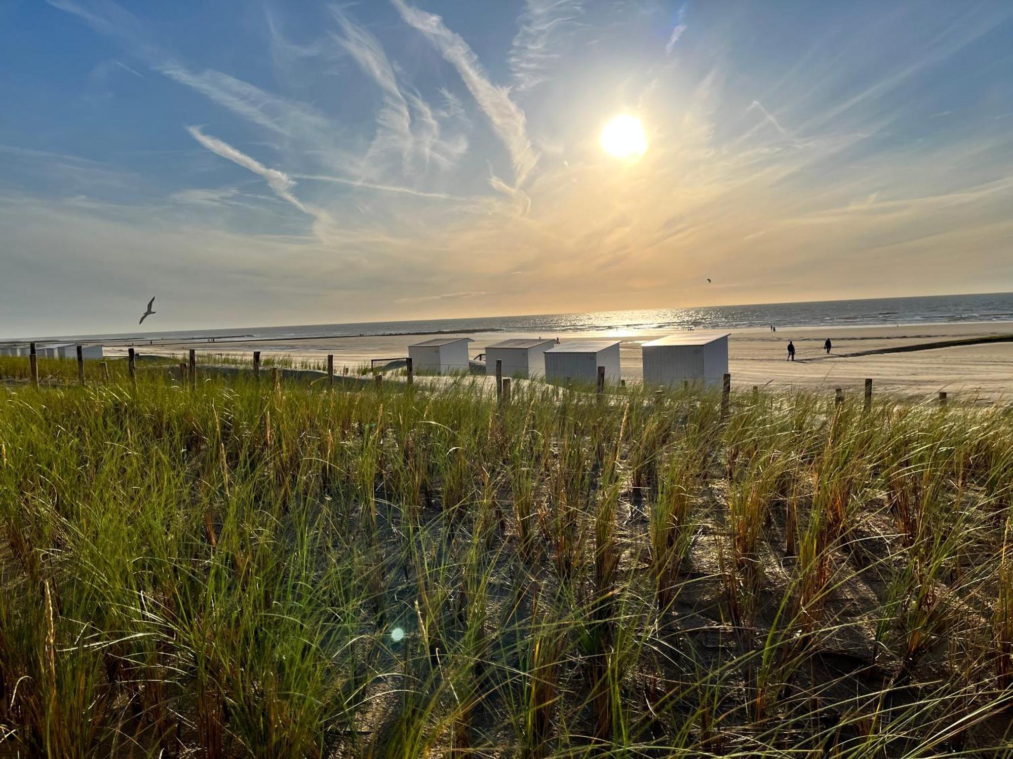 Beach Bungalow Green Villa Middelkerke Exteriör bild